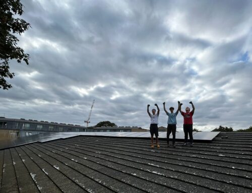 Rooftop solar project at Betty Layward Primary School